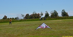 Venice kite festival_0077